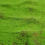 50X50cm Artificial Grass Rug Fake Moss Lawn Garden Landscape Turf Roll Festival Wedding Decoration Mat Carpet - Image 2