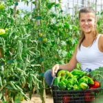 20/2M Nylon Plant Ties Plant Bandage Hook Tie Loop Adjustable Plant Support Reusable Fastener Tape for Home Garden Accessories - Image 4