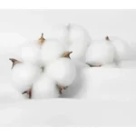 Disney Lightning McQueen Cars 100% Cotton Printed T-shirt Top Tee Casual Couple Unisex Dad Mam Birthday Family Party Gift Shirts - Image 6