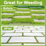 2 PCS Steel Wire Wheel Grass Trimmer Head Removal Rust&Moss Weed Brush Cutter Head Universal Weed Brush Lawnmover Power Tool - Image 6