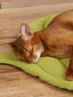 Cat Mattress Leaf Shape Cat Nest Cat and Dog Double-Sided Available Floor Mat Cover Pad Warm and Comfortable Cartoon Cat Bed Ind - Image 6