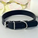 Dog Collar Simple Pet Collar Flat Cat Leather Collar with Bell Multicolor Non-strangled Collar - Image 6