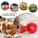 6Pcs Poultry Drinking Bowl Feeder Waterproof Automatic Chicken Drinker Cup Kit Livestock Feeding Watering Supplies - Image 3