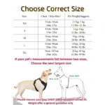 Small Medium Large Dog Harness Strong Harness Vest for Dogs Pet Shop Everything for Dogs Golden Retriever Chihuahua Accessories - Image 5