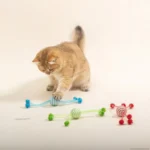 Cat Toy Self Hi Cats Sticks Cat Toys Interactive Ropes Ball Toys for Pet Dogs Teasing Bite-resistant Wool Ball Gatos Accesorios - Image 3