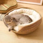Cat Basket Cotton Rope Round Bed for Cat Sleep with Pillow All Season Indoor Weaving Pet Resting Scratching Sleeping Furniture