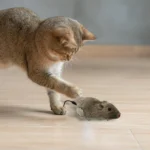 Wind up Mouse Cat Toy Wind Funny Running Mouse Cat Pet Teasing Interactive Toys soft Stuffed Cat Kitten Prank Toy Gift - Image 4