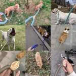 1.5M/1.8M Dog Leash Slip Rope Lead Leash Heavy Duty Braided Rope Adjustable Loop Collar Training Leashes for Medium Large Dogs - Image 2