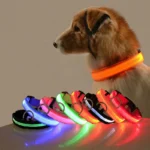 Led Dog Collar Light Anti-lost Collar For Dogs Puppies Night Luminous Supplies Pet Products Accessories USB Charging/Battery - Image 2