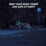 Led Dog Collar Luminous Usb Cat Dog Collar 3 Modes Led Light Glowing Loss Prevention LED Collar For Dogs Pet Dog Accessories - Image 3