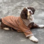 Big Dog Clothes Winter Large Dog Coat Jacket Samoyed Husky Border Collie Labrador Golden Retriever Weimaraner Clothing Apparel - Image 5