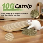 Cat Scratcher Interactive Toys for Cat Catnip Pillow Kitten Claw Grinder Scratching Post for Cats Chew Bite Toys Pet Supplies - Image 2