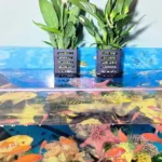 Floating Hanging Aquarium Plant Holder Hooks Aquatic Plant Pot Aquarium Planter Cups Planter Baskets Aquascape Decorations - Image 3