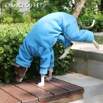 Whippet Pyjamas, Elderly Dog Onesie, Easy to put on and Made to Order in Soft Polar Fleece, Italian Greyhound Clothes - Image 4