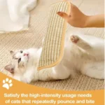 Cat Scratcher Interactive Toys for Cat Catnip Pillow Kitten Claw Grinder Scratching Post for Cats Chew Bite Toys Pet Supplies - Image 3