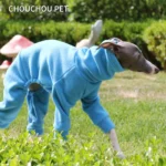 Whippet Pyjamas, Elderly Dog Onesie, Easy to put on and Made to Order in Soft Polar Fleece, Italian Greyhound Clothes - Image 6