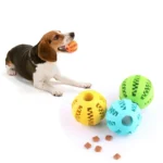Dog Ball Toys for Small Dogs Interactive Elasticity Puppy Chew Toy Tooth Cleaning Rubber Food Ball Toy Pet Stuff Accessories - Image 2