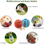 Dog Ball Toys for Small Dogs Interactive Elasticity Puppy Chew Toy Tooth Cleaning Rubber Food Ball Toy Pet Stuff Accessories - Image 4
