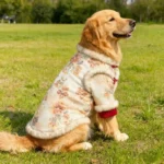 Chinese New Year Dog Clothing Tang Suit Winter Big Large Pet Apparel Border Collie Husky Labrador Golden Retriever Clothes Coat - Image 4
