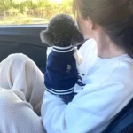 Designer Dog Clothes Supplies French Bulldog Coat For Animal Dogs Dresses Small Accessories Big Pet Large Dress Cute Medium Pets - Image 4