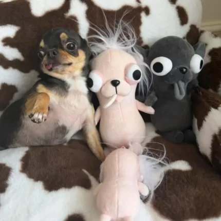 Funny Chihuahua Puppy Plush Pendant Ugly And Cute Creative Dog Plush Toy Backpack Abstract Plush Keychain Gift Plush Pet Toys