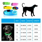 Led Dog Collar Light Anti-lost Collar For Dogs Puppies Night Luminous Supplies Pet Products Accessories USB Charging/Battery - Image 6