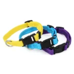 Adjustable Dog Collars for Small Medium Large Dogs,Thin Nylon Webbing & Quick Release Plastic Buckle Dog Collar Pet Accessories - Image 2