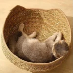 Cat Basket Cotton Rope Round Bed for Cat Sleep with Pillow All Season Indoor Weaving Pet Resting Scratching Sleeping Furniture - Image 3