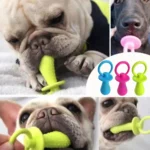 Rubber Dog Pacifier Toy With Bell For Teething - Pet Vocalization Toy And Chew Toy Supplies Pet Dog TPR Pacifier Toy - Image 2