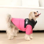 Pet Dog Jacket Coat For Small Medium Dogs Cats Winter Warm Puppy Clothing with Leash Hole Kitten Outfits Chihuahua Pug Apparel - Image 5