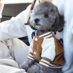 Designer Dog Clothes Supplies French Bulldog Coat For Animal Dogs Dresses Small Accessories Big Pet Large Dress Cute Medium Pets