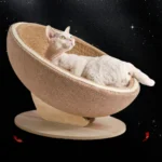 Handwoven Cat Bed with Solid Wood Base - 19.69 Inch Round Pet Nest for Indoor Cats, Stylish Natural Fiber Bedroom Furniture