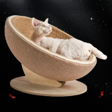 Handwoven Cat Bed with Solid Wood Base - 19.69 Inch Round Pet Nest for Indoor Cats, Stylish Natural Fiber Bedroom Furniture