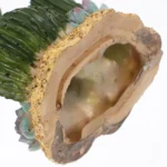 Large Artificial Cactus Decor for Reptile Terrarium Desert Habitat Simulation Resin Fake Cactus Plants for Tortoise Lizard Snake - Image 5