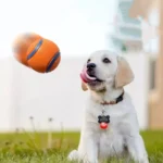 Indestructible Squeaky Ball Dog Toy Chew Resistant Tennis Ball Bouncy Interactive Training Play for Aggressive Chewers - Image 5