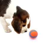Indestructible Squeaky Ball Dog Toy Chew Resistant Tennis Ball Bouncy Interactive Training Play for Aggressive Chewers - Image 3