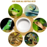 Reptile Food Bowl Feeding and Watering Bowl Anti-Escape Ceramic Feeding and Watering Bowl Anti-Escape Super Worm Feeder - Image 4