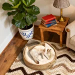 Cat Basket Cotton Rope Round Bed for Cat Sleep with Pillow All Season Indoor Weaving Pet Resting Scratching Sleeping Furniture - Image 5