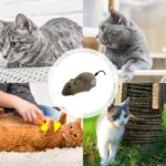 Wind up Mouse Cat Toy Wind Funny Running Mouse Cat Pet Teasing Interactive Toys soft Stuffed Cat Kitten Prank Toy Gift - Image 6