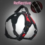 Small Medium Large Dog Harness Strong Harness Vest for Dogs Pet Shop Everything for Dogs Golden Retriever Chihuahua Accessories - Image 4