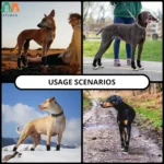 ATUBAN Dog Shoes for Hot Pavement Anti-Slip Dog Boots & Paw Protectors for Summer Rainy Day Dog Snow Boots Waterproof Dog Shoes - Image 6