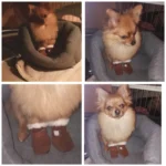 4pcs Winter Dog Shoes Waterproof Shoes For Medium Dogs Winter Boots For Small Dogs Warm Chihuahua Teeth Puppy Socks Yorkshire - Image 5