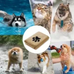 3 Size Options Microfiber Pet Bath Towel Embroidered Super Soft Absorbent Cat for Dogs Grooming Supplies - Image 3