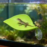 1set Terrarium Decorations Reptile Resting Leaves Tree Frog Green Grandpa Habitat Leaves Small Reptile Artificial Plastic Plants - Image 5