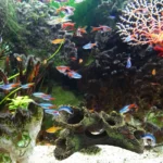 Artificial Landscape Ornament Multifunction Aquarium Hollow Log Decor Non-toxic Resin Fish Hiding Cave for Fish Tank Aquarium - Image 5