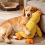Dog sleeping with a hug duck puppy plush toys to relieve boredom of little yellow duck pet interactive plush doll pet supplies - Image 3