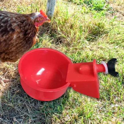6Pcs Poultry Drinking Bowl Feeder Waterproof Automatic Chicken Drinker Cup Kit Livestock Feeding Watering Supplies