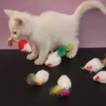 Soft Fleece False Mouse Cat Toys Colorful Feather Funny Playing Toys for Cats Interactive Toys Juguetes - Image 5