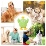 Dog Chew Toy Green Chicken Plush Toy Durable Interactive Puppy Teething Toy For Small Medium Large Breed Dogs Squeaky Pet Toy - Image 4