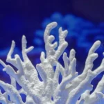 Fish Tank Aquascape Simulation Coral Ornament Water Plant Plastic Fake Coral Reef Aquarium Decor For Home Office Fish Tank Decor - Image 4